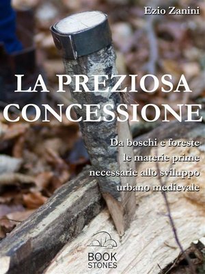 cover image of La preziosa concessione